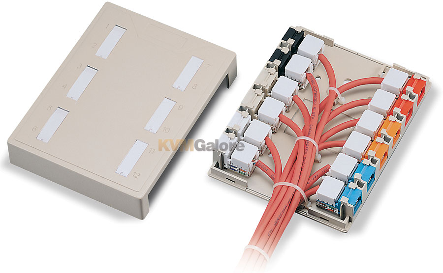 KeystoneJack SurfaceMount Box, 12Ports, White 03849 C2G