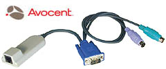 AutoView CAT5 Interface Modules
