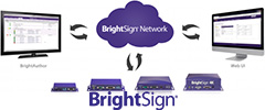 BrightSign Network