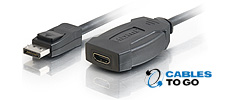DisplayPort Adapters