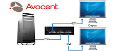 Emerge Video Distribution Amplifiers