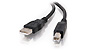 USB 2.0 Type-A to Type-B Cable, 6 feet, TAA-Compliant