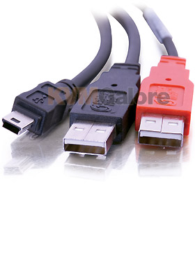 USB 2.0 Mini-B Male to 2 USB A Male Y-Cable, 6-feet