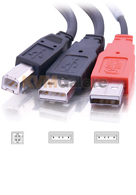 USB 2.0 B Male to 2 USB A Male Y-Cable