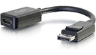 DisplayPort to HDMI Adapter, 8-inches