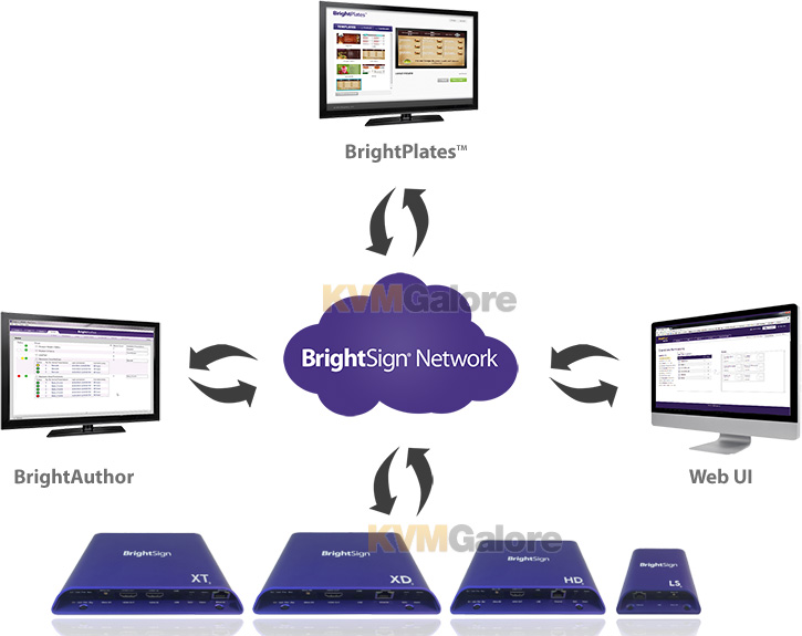 BrightSign Network