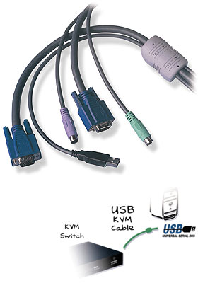 USB Converter Cable, 32-feet