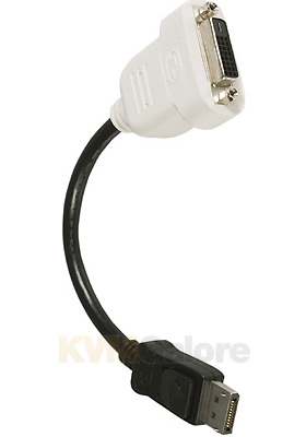 DisplayPort to DVI Video Adapter DisplayPort to DVI Video Adapter
