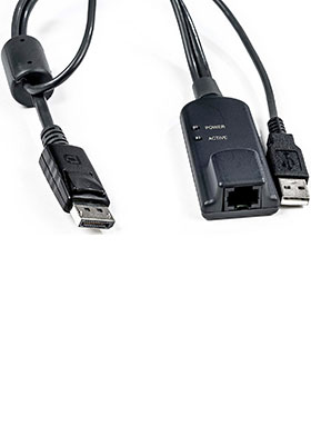 DisplayPort IQ Server Interface Module DisplayPort IQ Server Interface Module