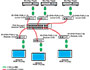 Image 5 of 5 - Many-to-many connections using a managed network switch. Support for multiple transmitters requires a managed network switch with VLAN support.
NOTE: The many-to-many configuration is not compatible with Cisco 2960 switch.