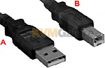 USB Type-A and type-B male connectors USB Type-A and type-B male connectors